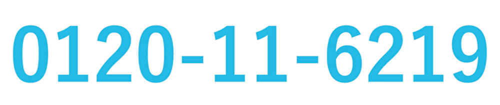 0120-11-6219